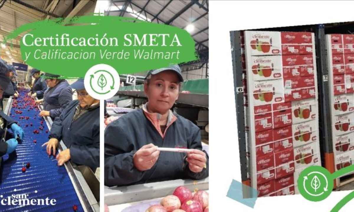 Centrales frutícolas de San Clemente se recertifican 