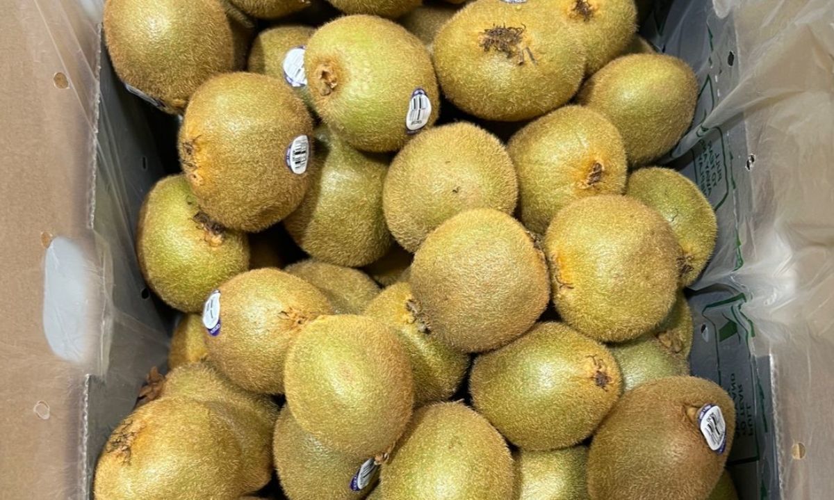 Llegadas de kiwis... pura vitamina C 