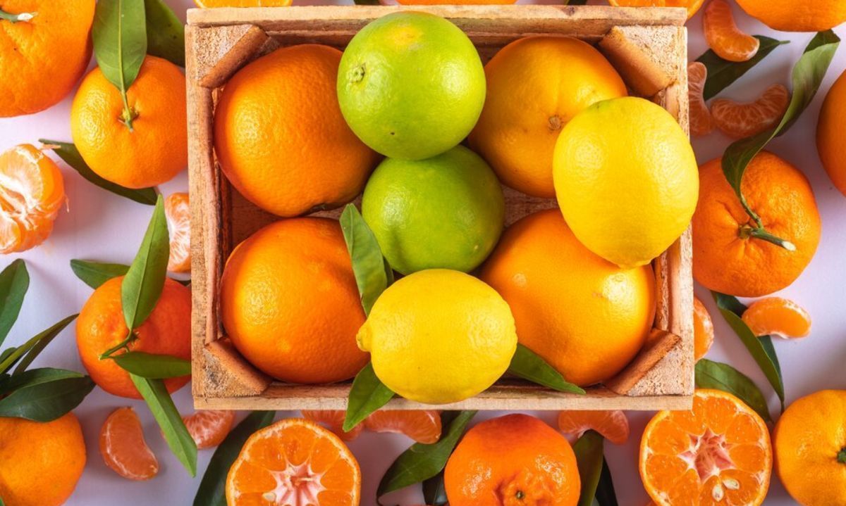 Exportaciones: Naranjas, mandarinas, clementinas y limones aumentan sus tonelajes 