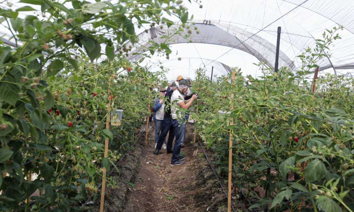 En el Día del Trabajador... te dejamos ofertas laborales