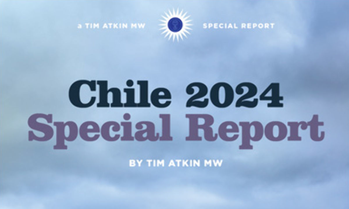 Informe especial Chile 2024 con los mejores vinos