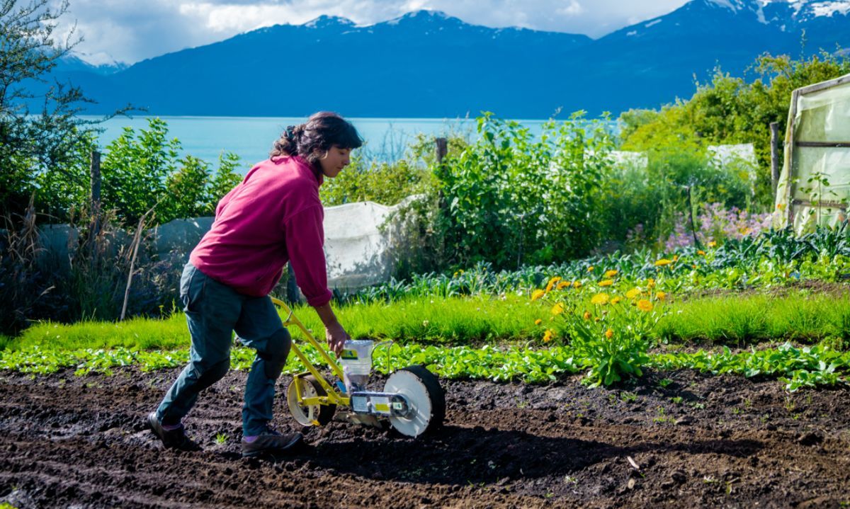 Columna: La mujer y la agricultura es un legado de valor y avance