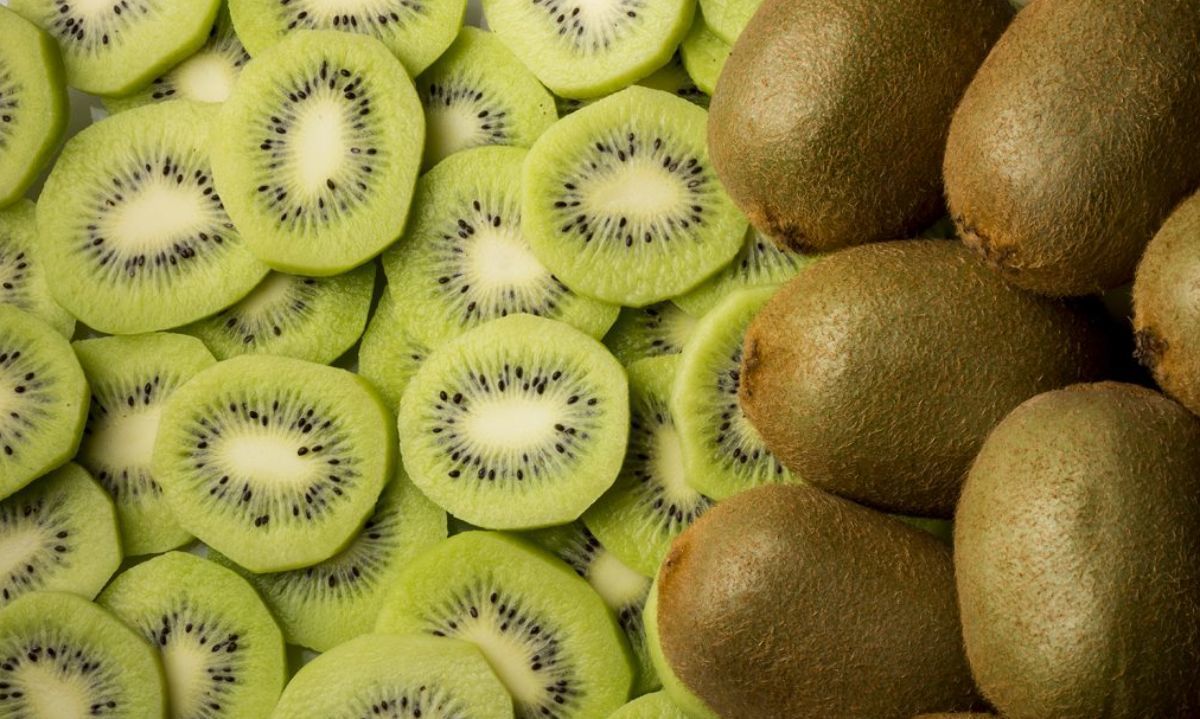 Biopesticida basado en la planta nativa Adesmia balsamica ayudará a los kiwis