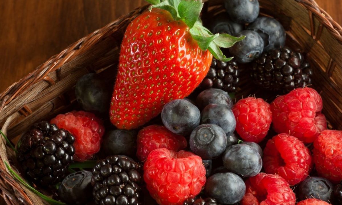 Hortifrut comparte su receta de asado a la chilena con salsa dulce de berries