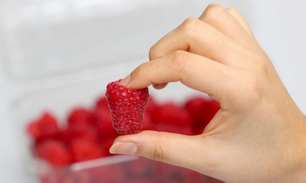 Frutillas y frambuesas: Una oportunidad de desarrollo para productores chilenos