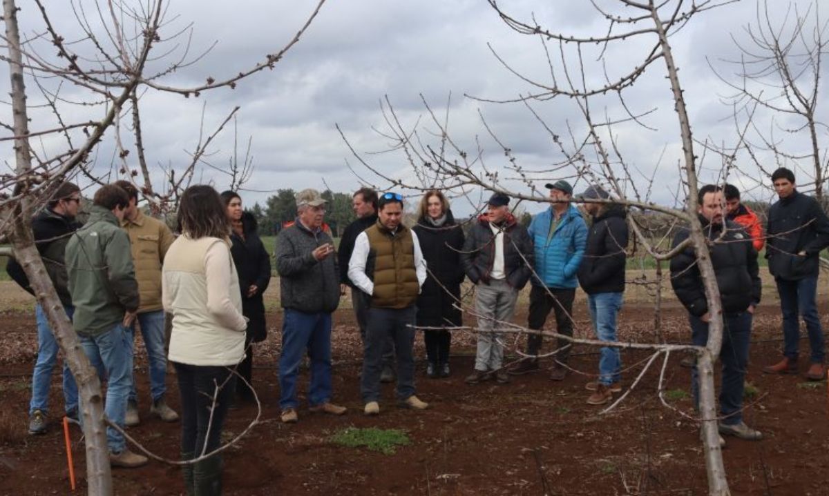 La Araucanía: Encuentro para analizar el desarrollo sustentable de la cereza de exportación 