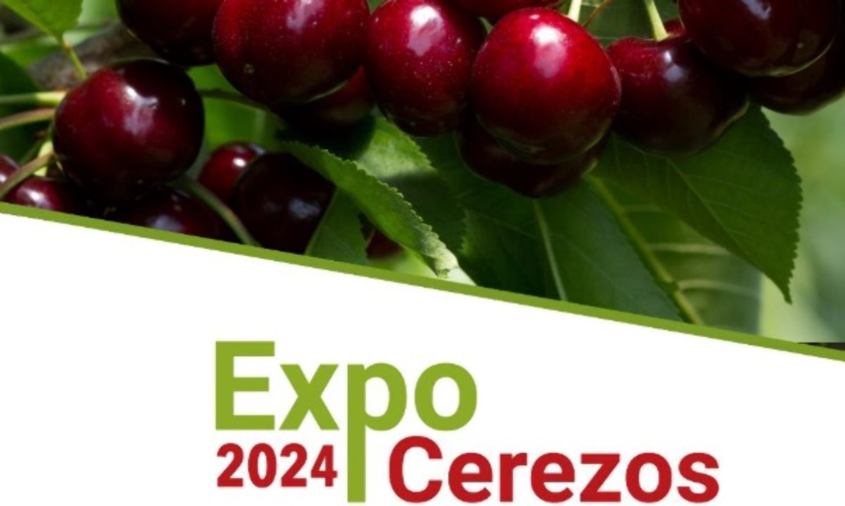12 Sept.: ExpoCerezos en la VI Región