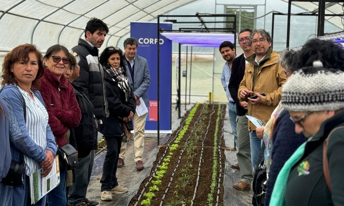 Región de Los Lagos: Nuevo programa para impulsar la horticultura del futuro 