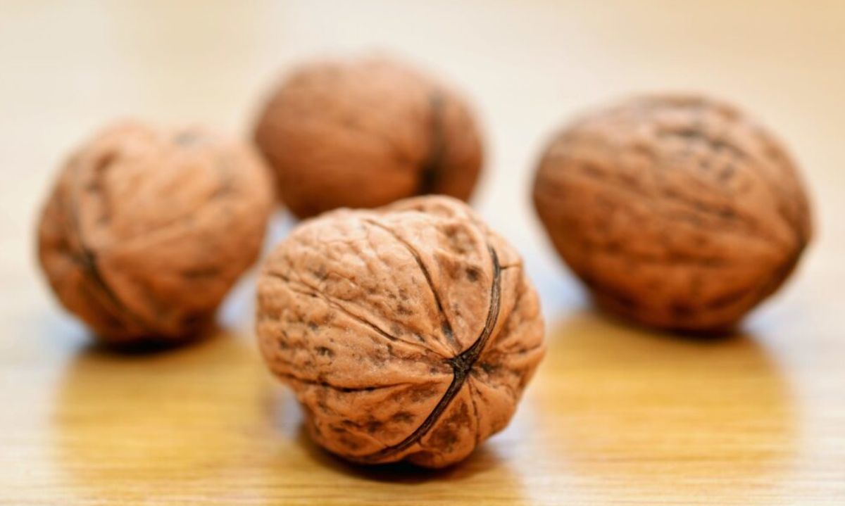 Video: Cómo se viene la próxima cosecha de nueces en el análisis de Matías Bianchini