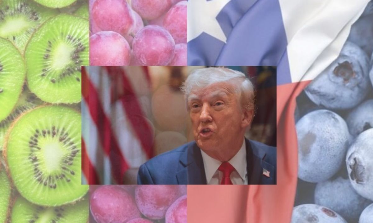 Aranceles agrícolas de Trump y reacciones del sector chileno