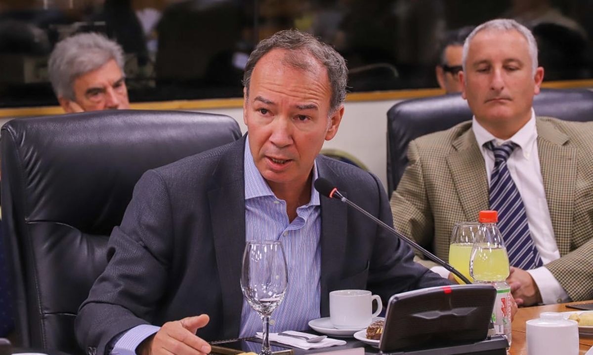 Uvas de mesa y cítricos chilenos los más afectados por los aranceles de EEUU