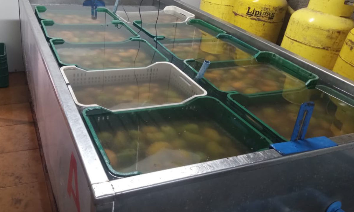 SAG autoriza primera planta de tratamiento hidrotérmico en Arica y Parinacota