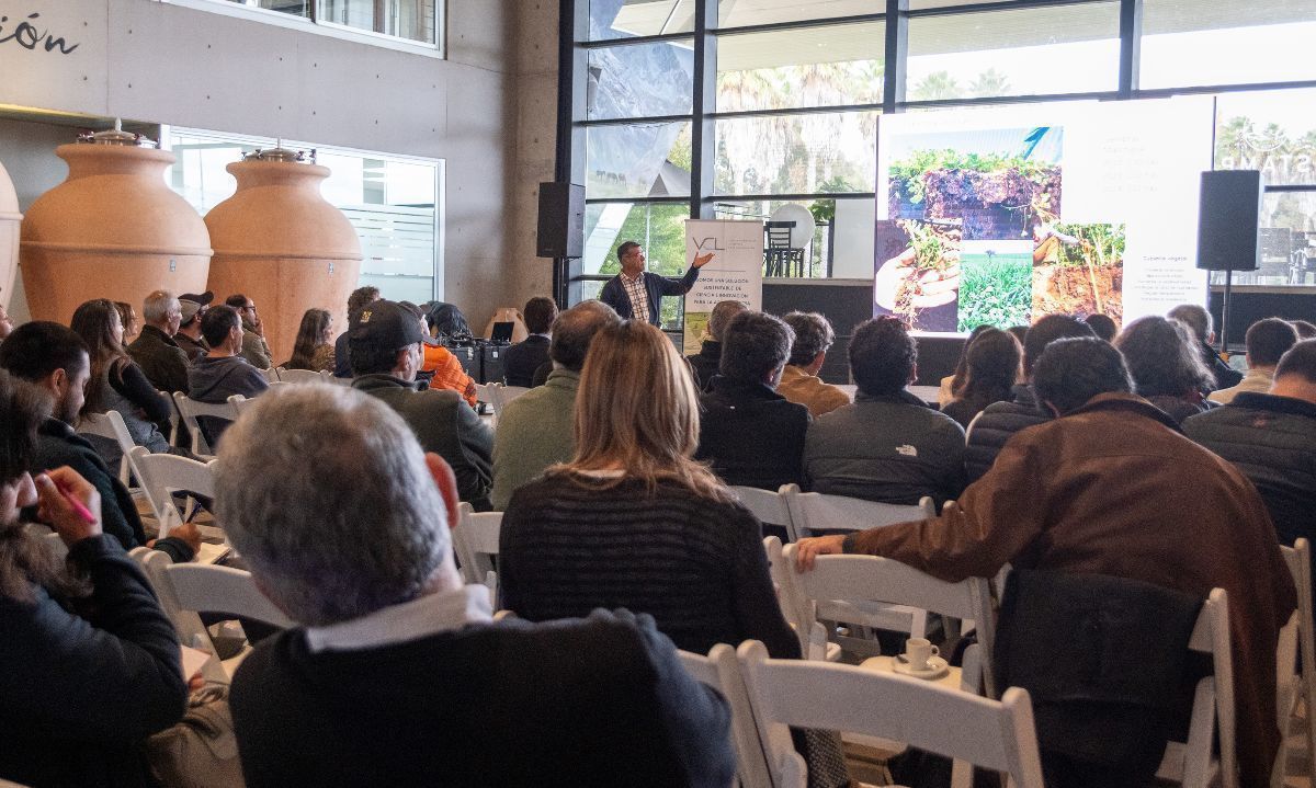 Vinos y olivos: Agricultura regenerativa y sustentabilidad