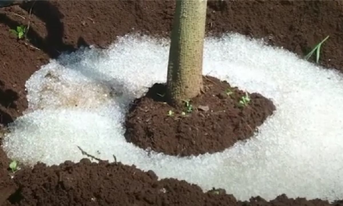 El ingeniero mexicano que revoluciona el riego agrícola con tecnología innovadora